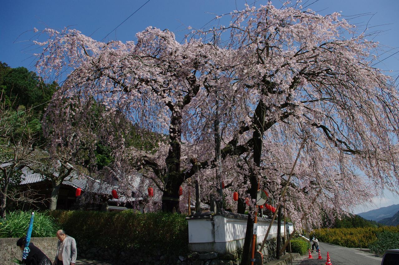 Kamiyama Onsen Hotel Shikinosato & Iyashinoyu Токушима Екстериор снимка